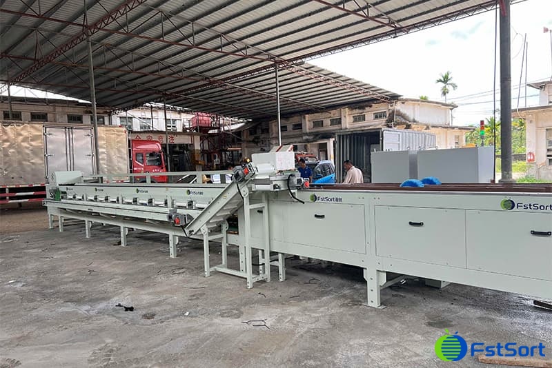 passion fruit sorting equipment.jpg passion fruit sorting equipment.jpg